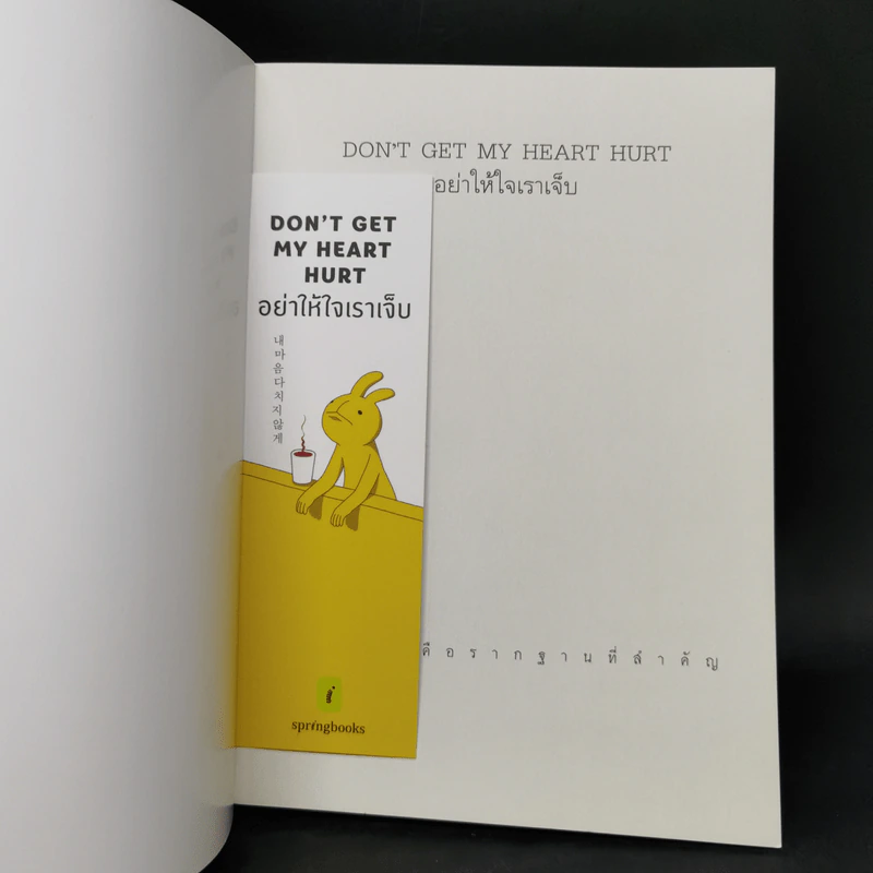 อย่าให้ใจเราเจ็บ DON'T GET MY HEART HURT - ซอลเลดา (Seolleda) รูปที่ 14