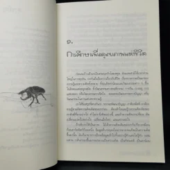 เรียนรู้กับลูกรักด้วยวิธี โฮมสคูล - แม่ส้ม (สมพร พึ่งอุดม) รูปที่ 11