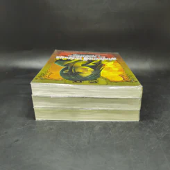 สกัลดักเกอรี เพลแซนต์ เล่ม 1-3 - Derek Landy รูปที่ 5