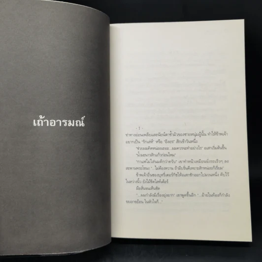 เถ้าอารมณ์ - รงค์ วงษ์สวรรค์ รูปที่ 11