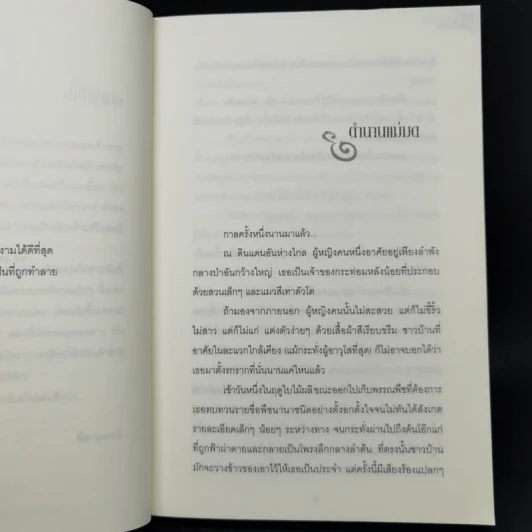 ลัมป์ ราชันย์ใต้พิภพ - ไมเคิล กรูเบอร์ รูปที่ 9