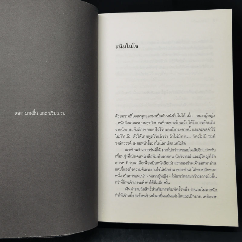 เถ้าอารมณ์ - รงค์ วงษ์สวรรค์ รูปที่ 10