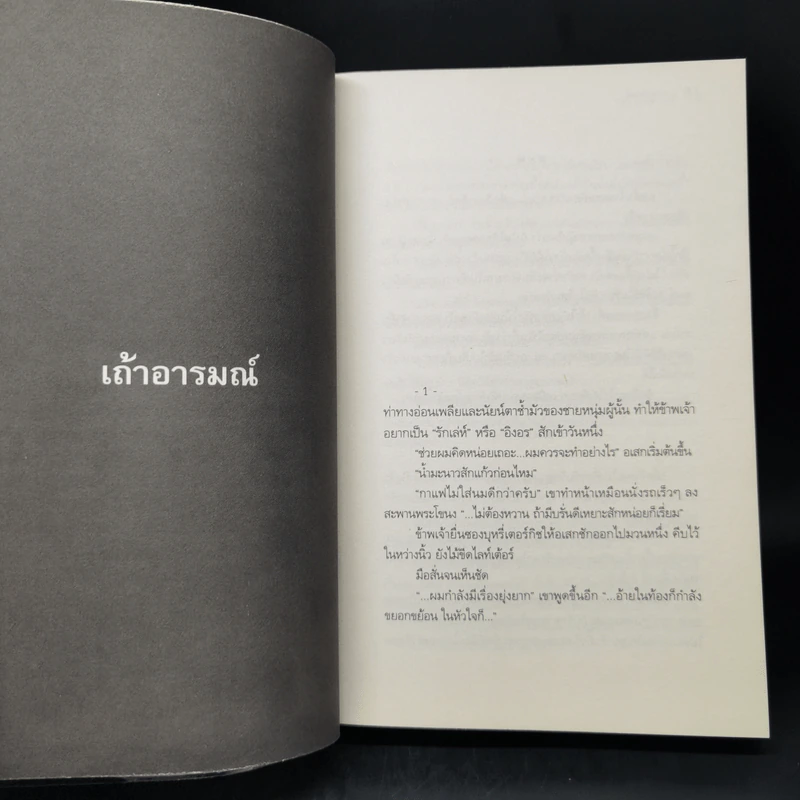 เถ้าอารมณ์ - รงค์ วงษ์สวรรค์ รูปที่ 11