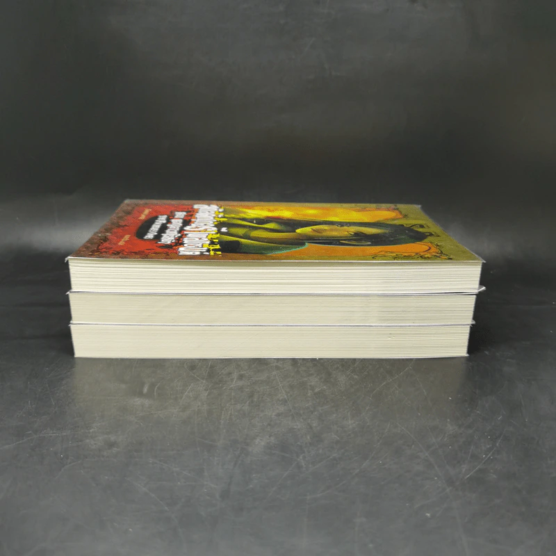 สกัลดักเกอรี เพลแซนต์ เล่ม 1-3 - Derek Landy รูปที่ 4