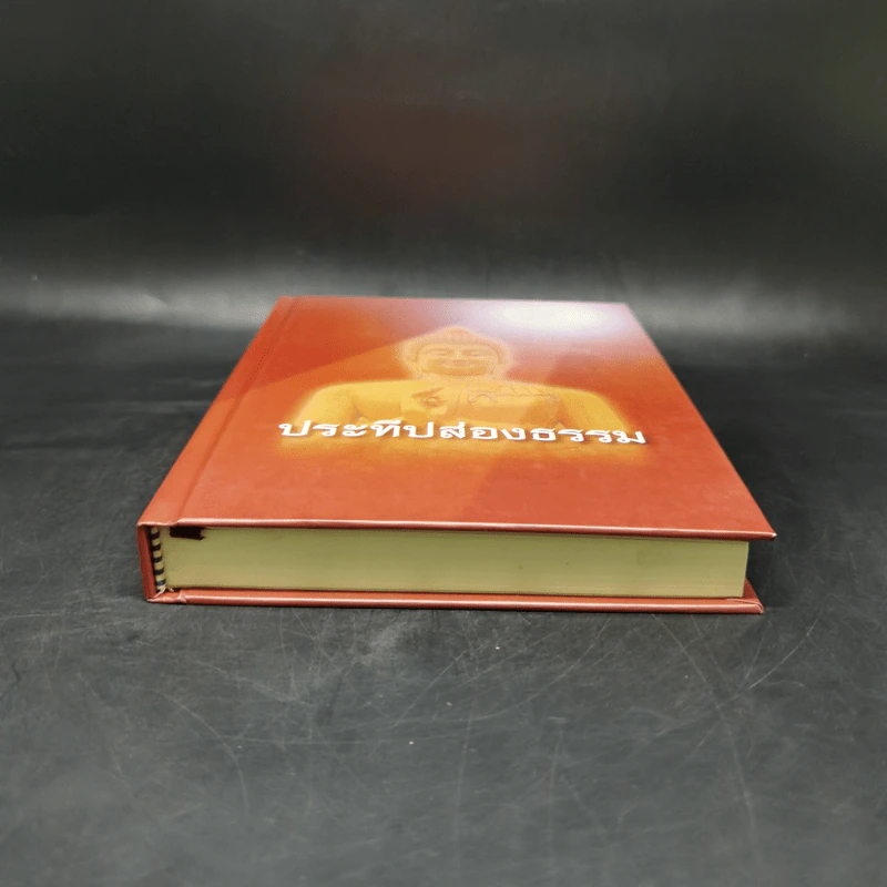 ประทีปส่องธรรม - พระปราโมทย์ ปาโมชโช รูปที่ 4