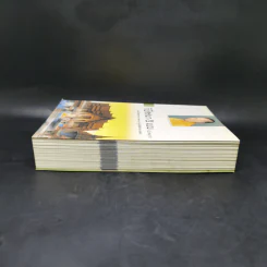 วิปัสสนา 5 แบบ (ฉบับสมบูรณ์) - พระมหาโพธิธรรมาจารย์ วงศ์ศากยะ รูปที่ 5