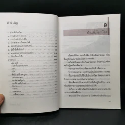 เบิ่งลาว ลาวไม่มีอะไรแต่ก็มีอะไร - ไมตรี ลิมปิชาติ รูปที่ 10