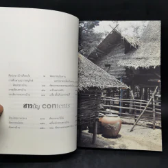 ศิลปะชาวบ้าน Folk Art - วิบูลย์ ลี้สุวรรณ รูปที่ 9