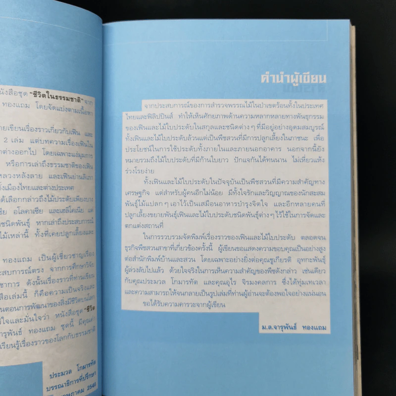 เฟินและไม้ใบประดับ - จารุพัน ทองแถม รูปที่ 9