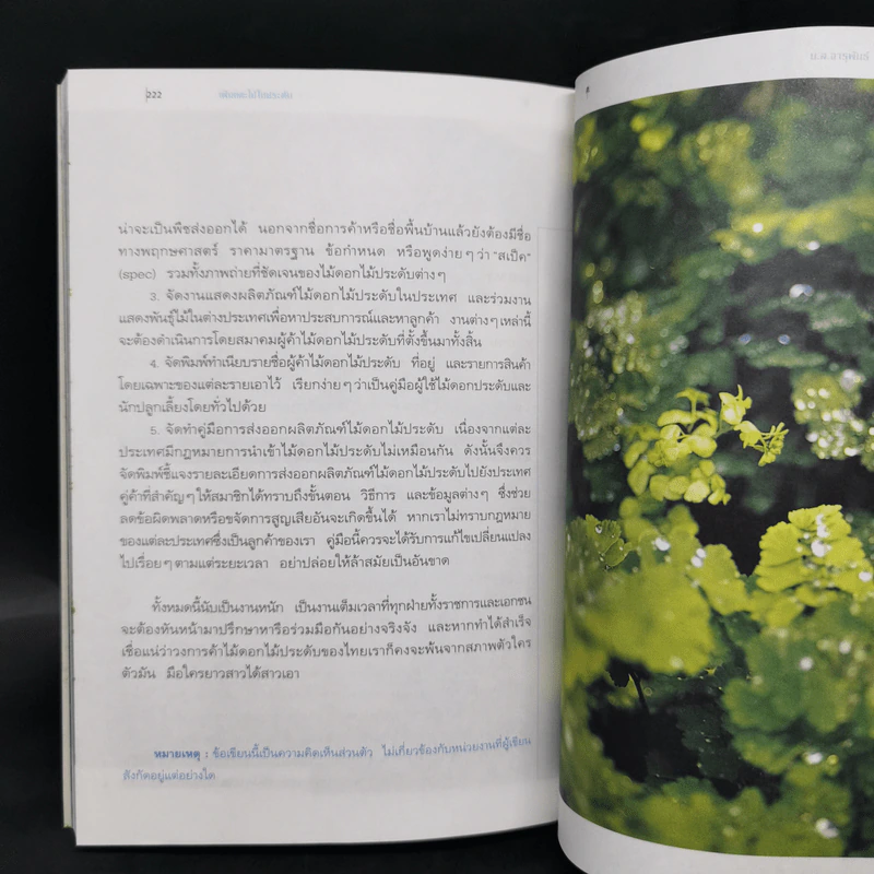 เฟินและไม้ใบประดับ - จารุพัน ทองแถม รูปที่ 12