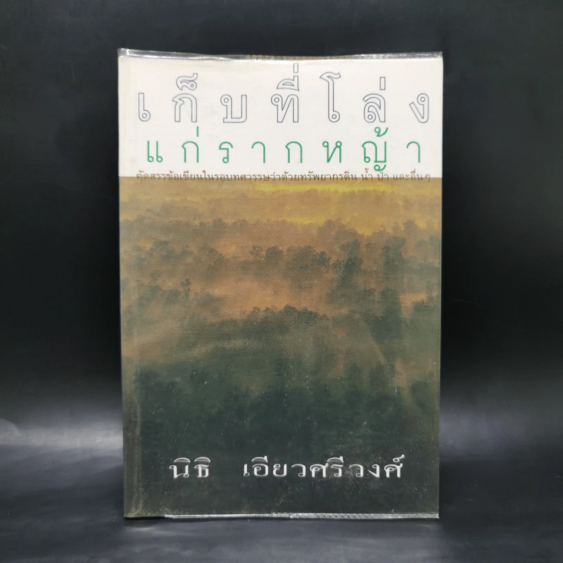 เก็บที่โล่งแก่รากหญ้า - นิธิ เอียวศรีวงศ์ รูปที่ 1
