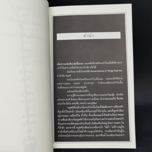 เป็น : เรียงความว่าด้วยลมหายใจในตัวหนังสือ - ปราบดา หยุ่น รูปที่ 11