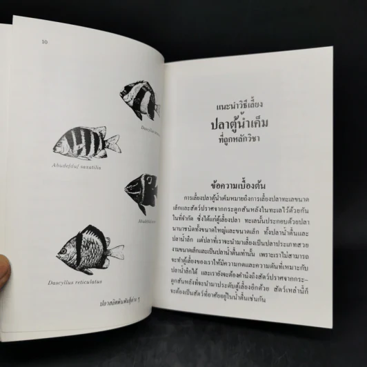 แนะนำการเลี้ยงปลาตู้น้ำเค็มที่ถูกหลักวิชา - อรรณพ สุวสารมัย รูปที่ 11