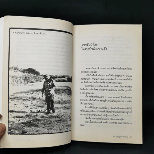 มิตรภาพต่างสายพันธุ์ - ม.ล.ปริญญากร วรวรรณ รูปที่ 10