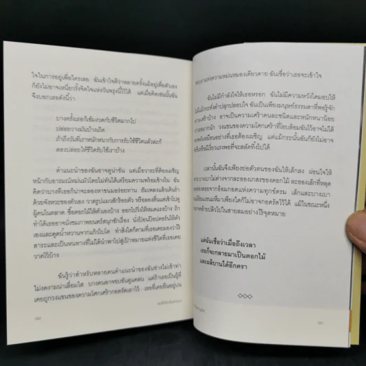 ขอให้รักคุ้มครอง - องอาจ  ชัยชาญชีพ รูปที่ 12