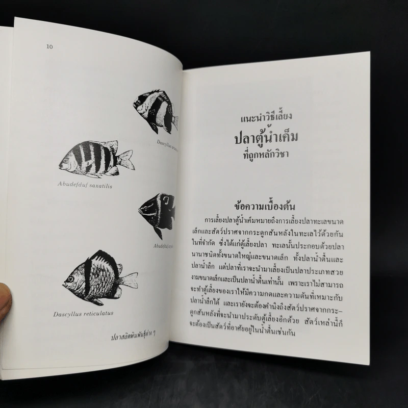 แนะนำการเลี้ยงปลาตู้น้ำเค็มที่ถูกหลักวิชา - อรรณพ สุวสารมัย รูปที่ 11