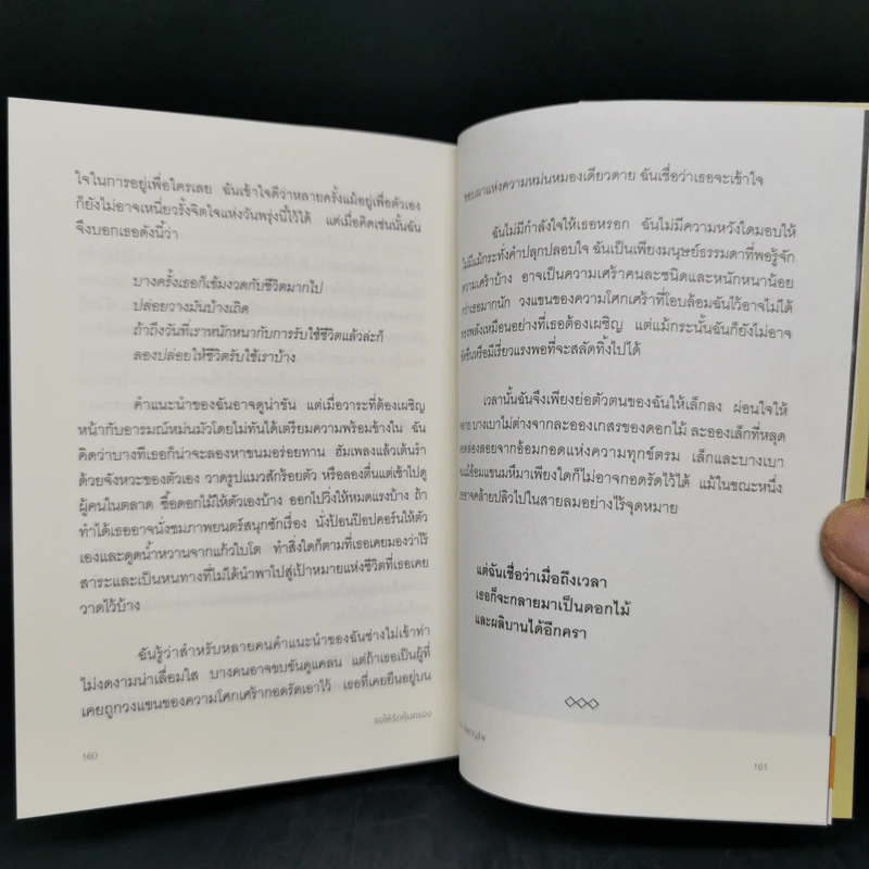 ขอให้รักคุ้มครอง - องอาจ  ชัยชาญชีพ รูปที่ 12