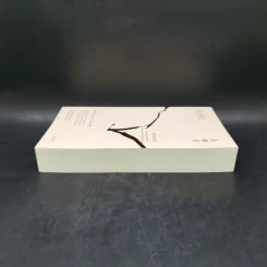 คินสึงิ (KINTSUGI) ความงามของบาดแผลแห่งชีวิต - Tomas Navarro รูปที่ 5