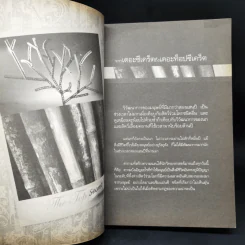 The Top Secret เดอะท็อปซีเคร็ต - ทันตแพทย์สม สุจีรา รูปที่ 12