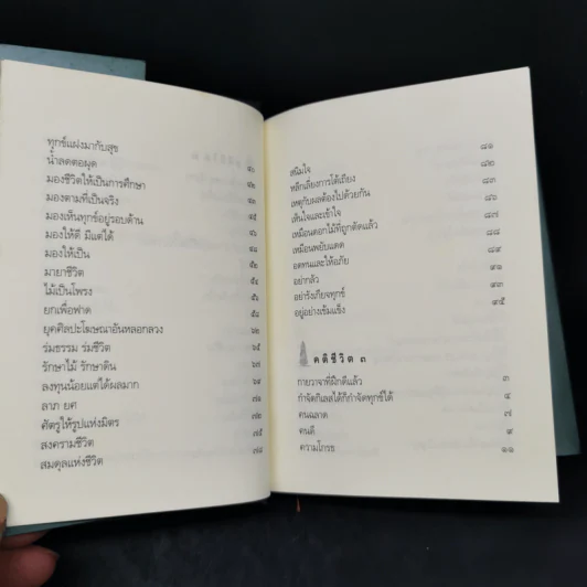 คติชีวิต เพื่อชีวิตที่เติบโตและเข้มแข็ง - วศิน อินทสระ รูปที่ 12