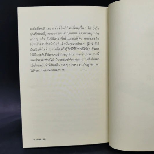 No More No Less - วงศ์ทนง ชัยณรงค์สิงห์ รูปที่ 10