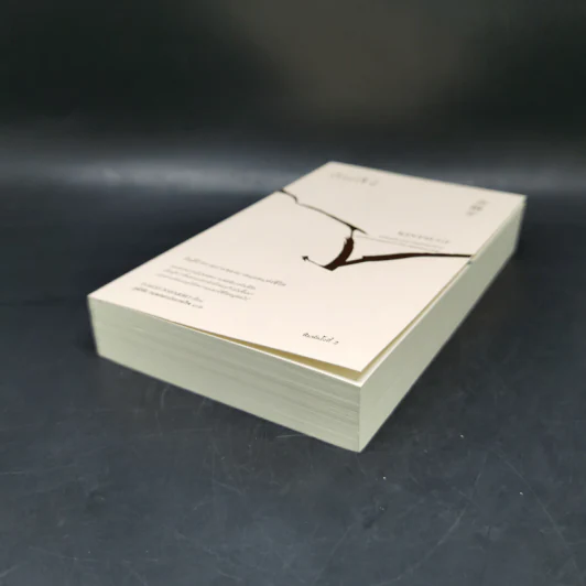 คินสึงิ (KINTSUGI) ความงามของบาดแผลแห่งชีวิต - Tomas Navarro รูปที่ 7