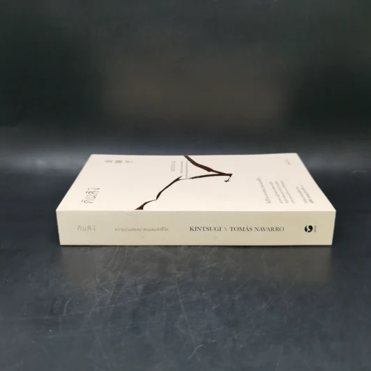 คินสึงิ (KINTSUGI) ความงามของบาดแผลแห่งชีวิต - Tomas Navarro รูปที่ 3