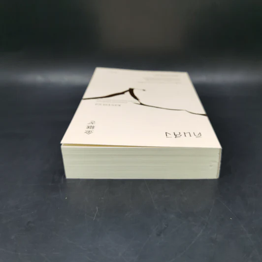 คินสึงิ (KINTSUGI) ความงามของบาดแผลแห่งชีวิต - Tomas Navarro รูปที่ 6
