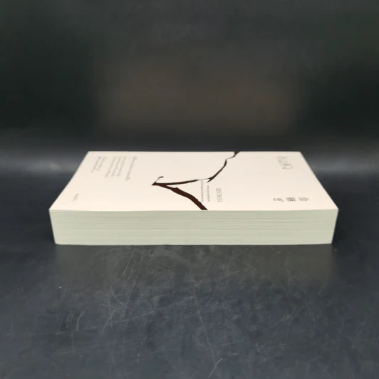 คินสึงิ (KINTSUGI) ความงามของบาดแผลแห่งชีวิต - Tomas Navarro รูปที่ 5