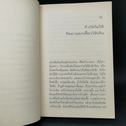 เมื่อโชคมาต้องหาเก้าอี้ให้นั่ง - มิเรียม เพรสเลอร์ รูปที่ 10