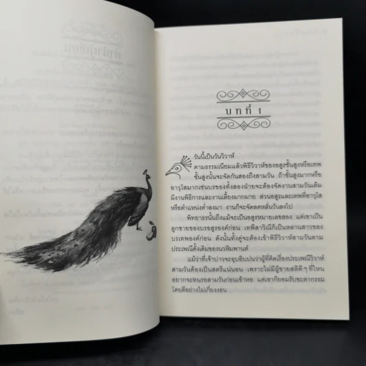 วิวาห์พิทยาธร - อลินา รูปที่ 10