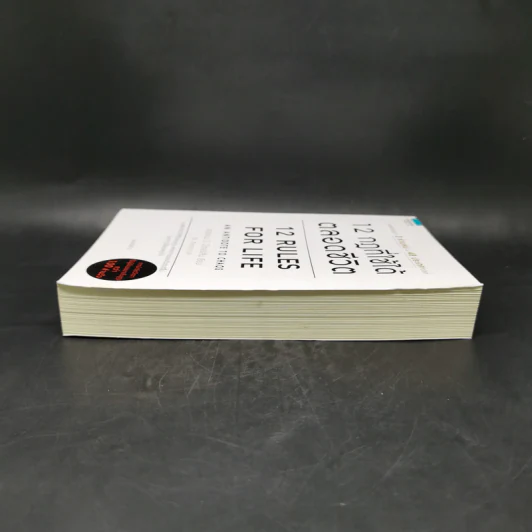 12 กฎที่ใช้ได้ตลอดชีวิต - จอร์แดน บี ปีเตอร์สัน Jordan B. Peterson รูปที่ 5