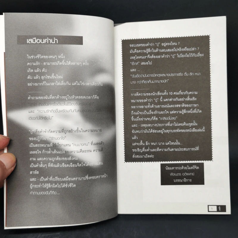 ชู้ 10 เรื่องรักนอกใจของ 10 นักเขียนรักเดียวใจเดียว รูปที่ 9