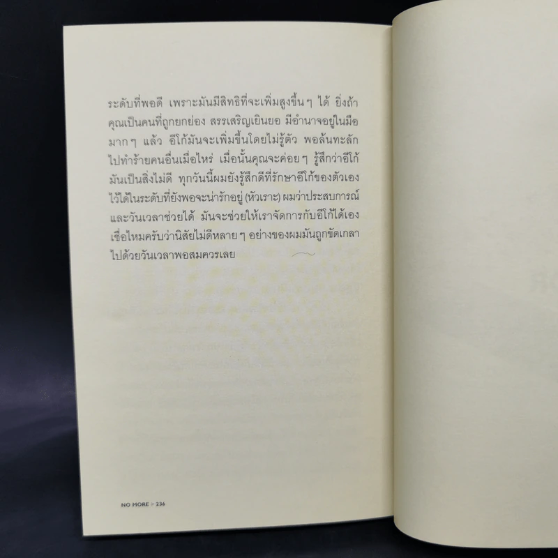 No More No Less - วงศ์ทนง ชัยณรงค์สิงห์ รูปที่ 10