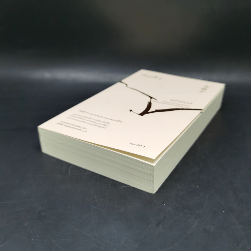 คินสึงิ (KINTSUGI) ความงามของบาดแผลแห่งชีวิต - Tomas Navarro รูปที่ 7