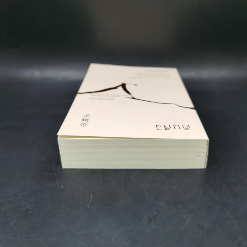 คินสึงิ (KINTSUGI) ความงามของบาดแผลแห่งชีวิต - Tomas Navarro รูปที่ 6