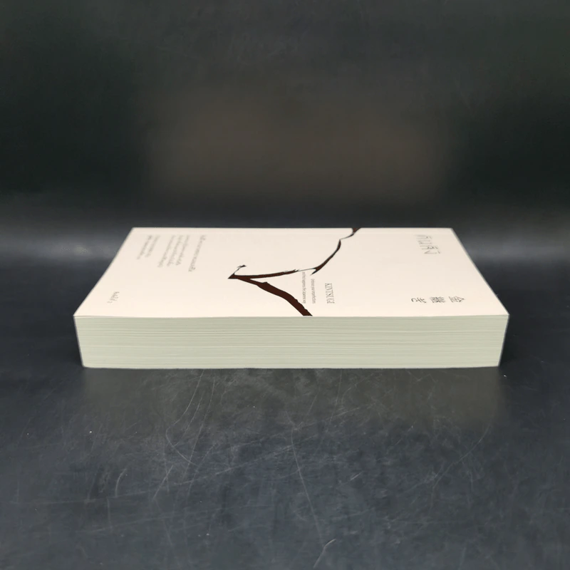 คินสึงิ (KINTSUGI) ความงามของบาดแผลแห่งชีวิต - Tomas Navarro รูปที่ 5