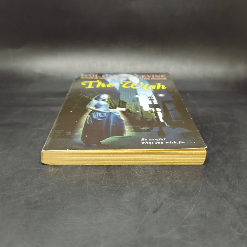 The Wish - Gail Carson Levine รูปที่ 4