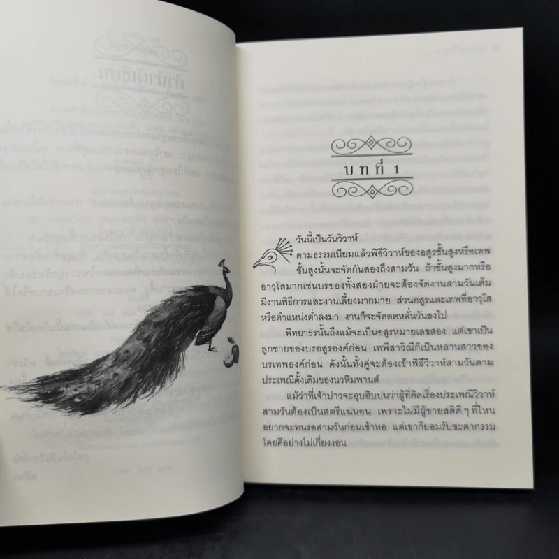 วิวาห์พิทยาธร - อลินา รูปที่ 10