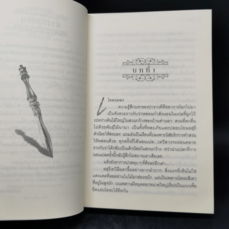 เอกเทพ - อลินา รูปที่ 10