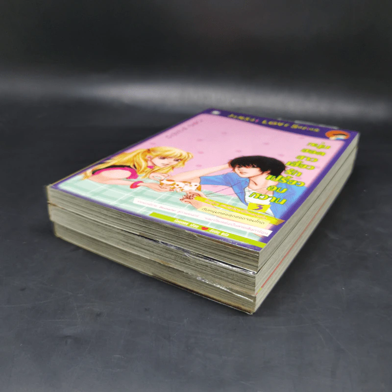 หนังสือการ์ตูน หนุ่มฮอตสาวเฮี้ยว รักเปรี้ยวอมหวาน 3 เล่มจบ - Guiyeoni รูปที่ 6
