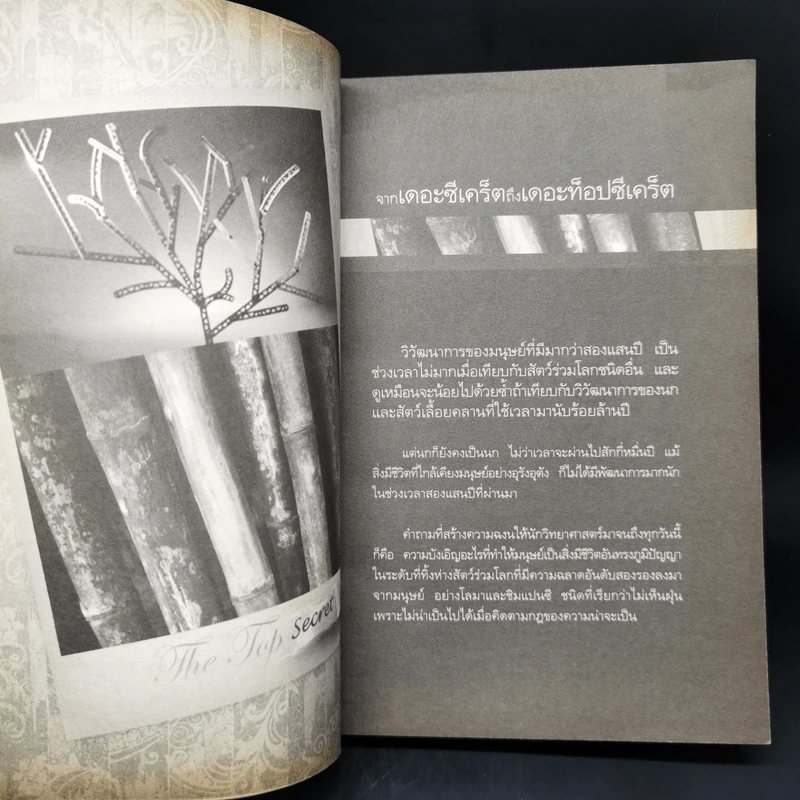 The Top Secret เดอะท็อปซีเคร็ต - ทันตแพทย์สม สุจีรา รูปที่ 12
