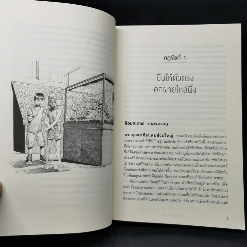 12 กฎที่ใช้ได้ตลอดชีวิต - จอร์แดน บี ปีเตอร์สัน Jordan B. Peterson รูปที่ 12