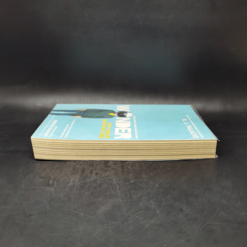 Wonder - R.J.Palacio รูปที่ 5