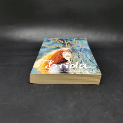 Brida - Paulo Coelho รูปที่ 4