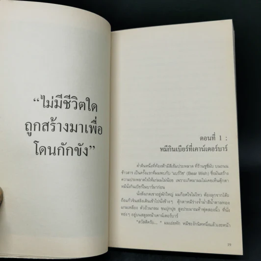 The Bear Wish Project - เดปป์ นนทเขตคาม รูปที่ 9