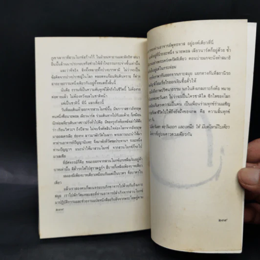 แผ่วผ่านธารน้ำไหล - เนาวรัตน์ พงษ์ไพบูลย์ รูปที่ 11