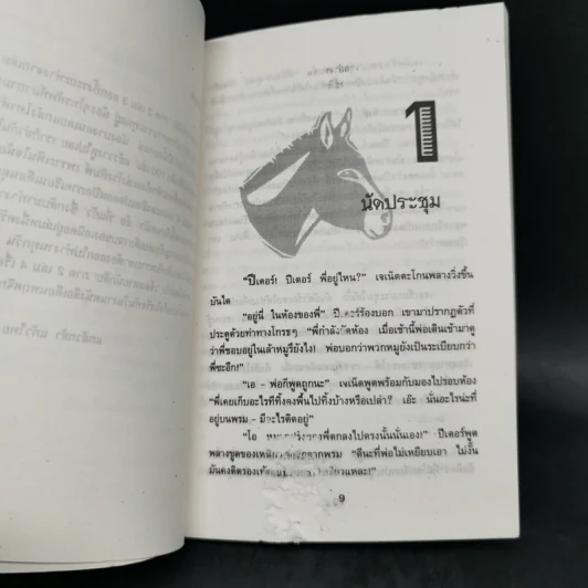 เจ็ดสหายนักสืบ ภาค 2 ตอน บราวนี่เพื่อนรัก + ถนนสายใหม่ - เอนิด ไบลตัน รูปที่ 9