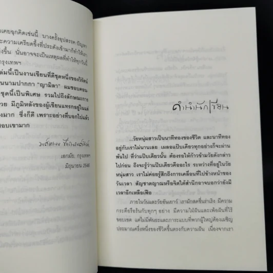ครึ่งจริง ครึ่งฝัน และพระจันทร์ของคนหนุ่ม - วิรัตน์ โตอารีย์มิตร รูปที่ 9