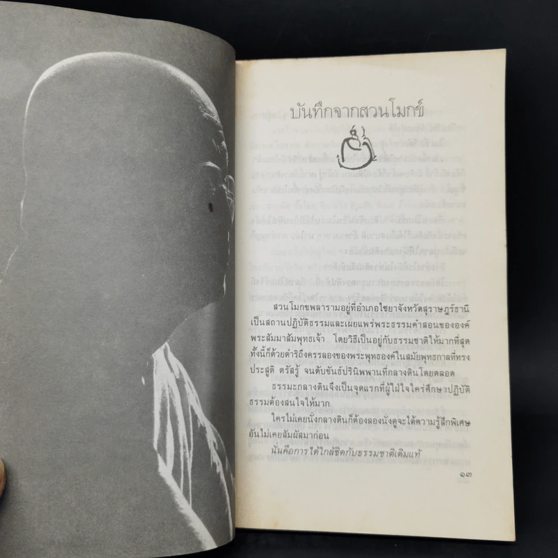 แผ่วผ่านธารน้ำไหล - เนาวรัตน์ พงษ์ไพบูลย์ รูปที่ 10